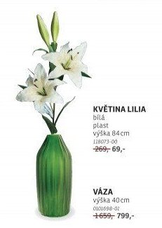 KVĚTINA LILIA