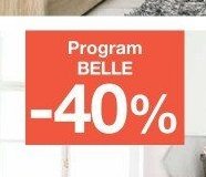 Program BELLE