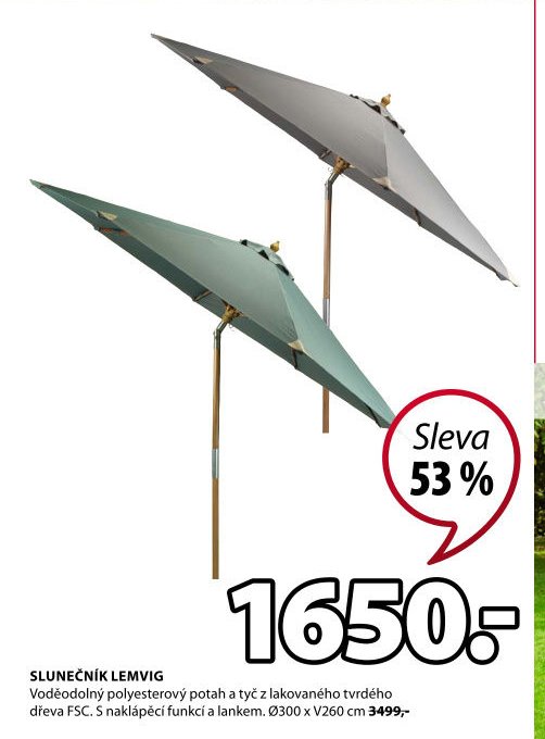 SLUNEČNÍK LEMVIG