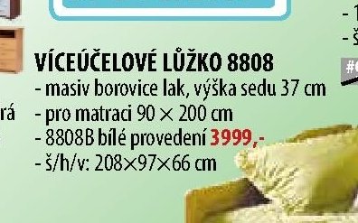 Víceúčelové lůžko 8808