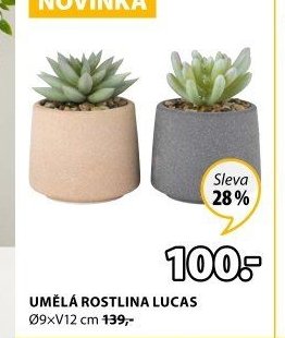 Umělá rostlina LUCAS
