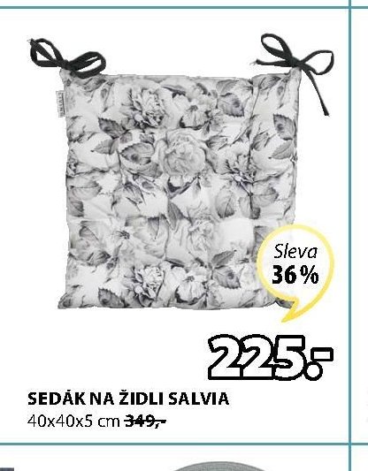 SEDÁK NA ŽIDLI SALVIA