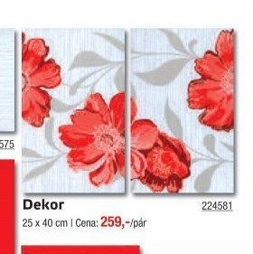 Dekor 224581