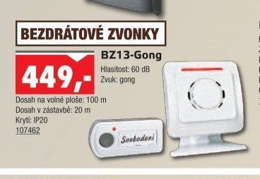 BZ13-Gong