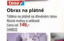 Obraz na plátně