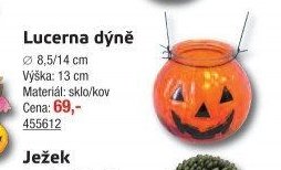 Lucerna dýně