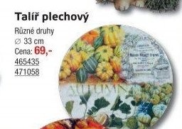 Talíř plechový
