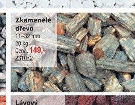 Zkamenělé dřevo