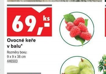 Ovocné keře v balu