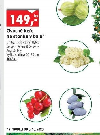 Ovocné keře na stonku v balu