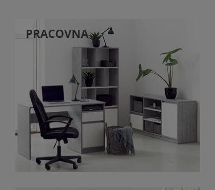 Pracovna