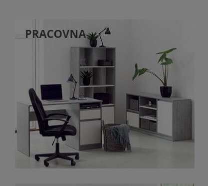 Pracovna