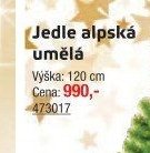 Jedle alpská umělá
