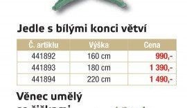 Jedle s bílými konci větví