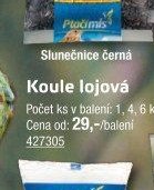Koule lojová