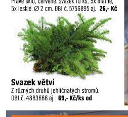 Svazek větví