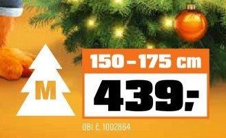 Vánoční stromek 150-175 cm