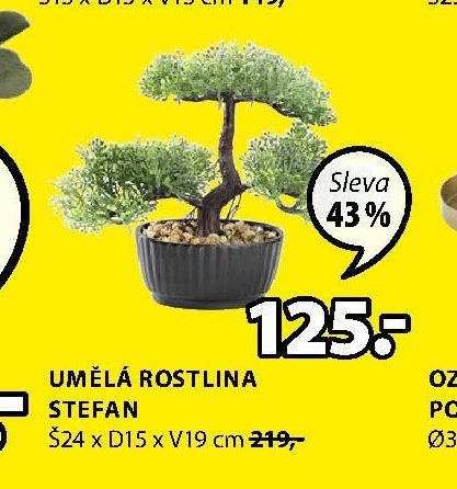 UMĚLÁ ROSTLINA STEFAN