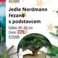 Jedle Nordmann řezaná s podstavcem