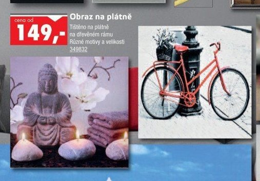 Obraz na plátně