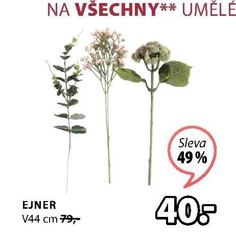 Ejner