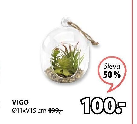 Vigo