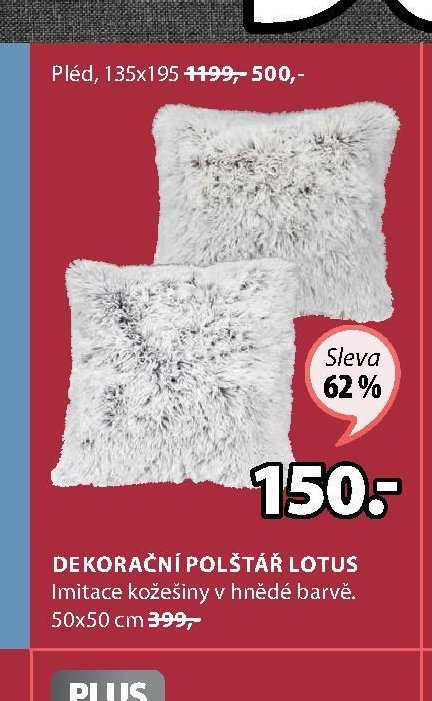 Pléd