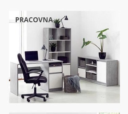 PRACOVNA