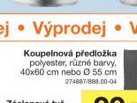 Koupelnová předložka