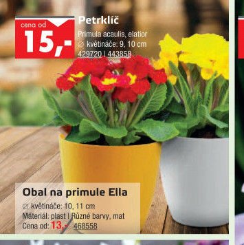 Petrklíč