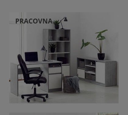PRACOVNA