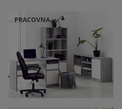PRACOVNA