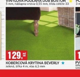 KOBERCOVÁ KRYTINA BEVERLY
