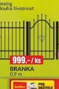 BRANKA