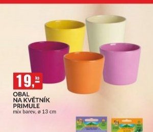 OBAL NA KVĚTNÍK PRIMULE