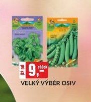 VELKÝ VÝBĚR OSIV