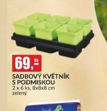 SADBOVÝ KVĚTNÍK S PODMISKOU