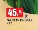 NARCIS BRIDAL K12