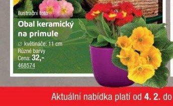 Obal keramický na primule