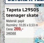 Tapeta L29505 teenager skate