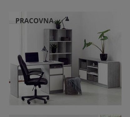 Pracovna