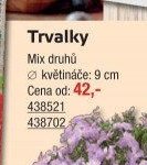 Trvalky