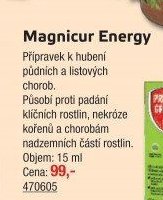 Magnicur Energy