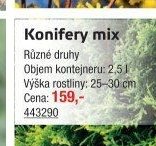 Konifery mix