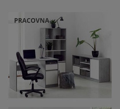 PRACOVNA