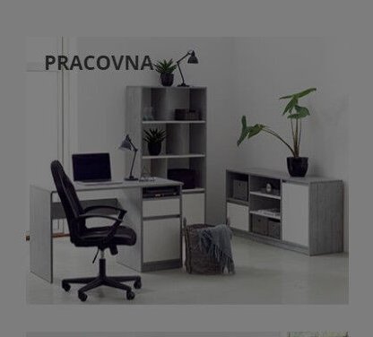Pracovna