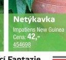 Netýkavka