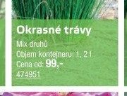 Okrasné trávy