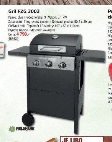 Gril FZG 3003