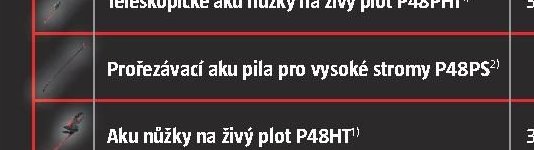 Prořezávací aku pila pro vysoké stromy P48PS